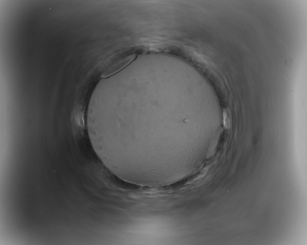 X0000088131155200706111402