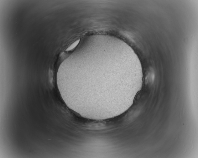 X0000088131156200706111402