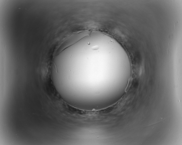 X0000088131157200706111402