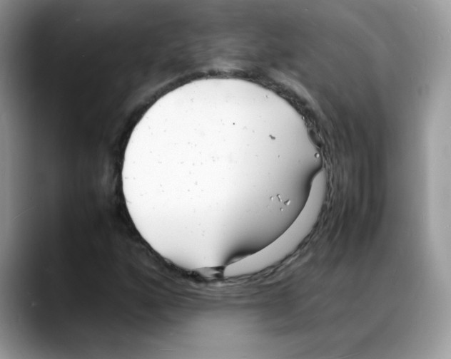 X0000088131160200706111402