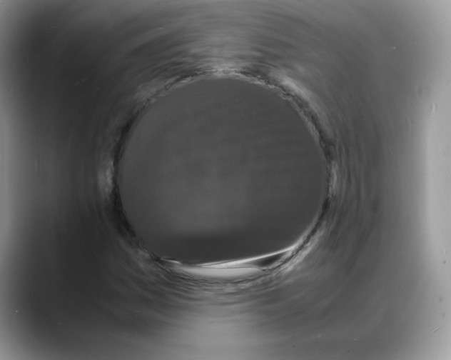 X0000088131161200706111402