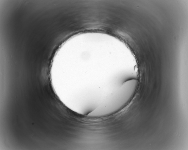 X0000088131164200706111402