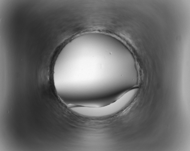 X0000088131165200706111402