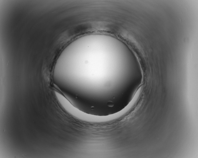 X0000088131169200706111402