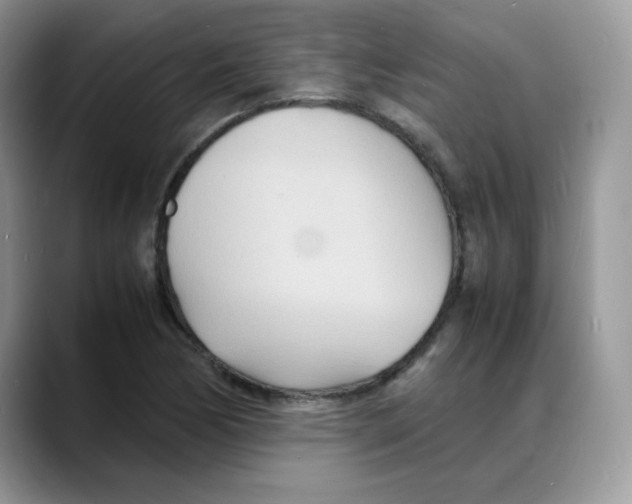 X0000088131170200706111402