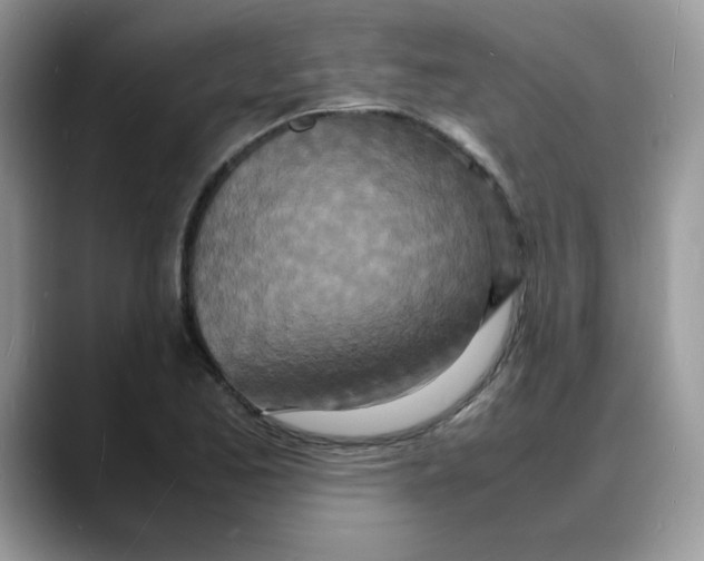 X0000088131173200706111402