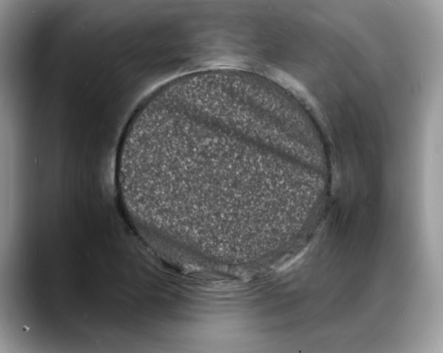 X0000088131174200706111402