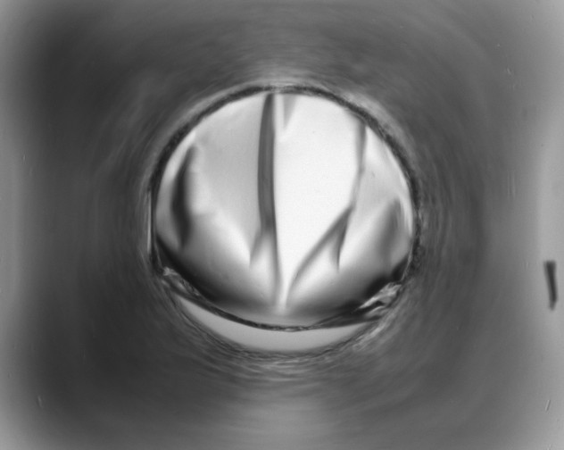 X0000088131175200706111402