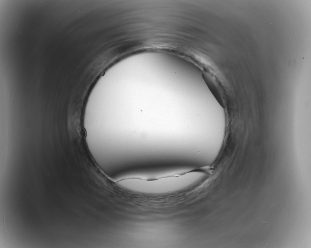 X0000088131177200706111402