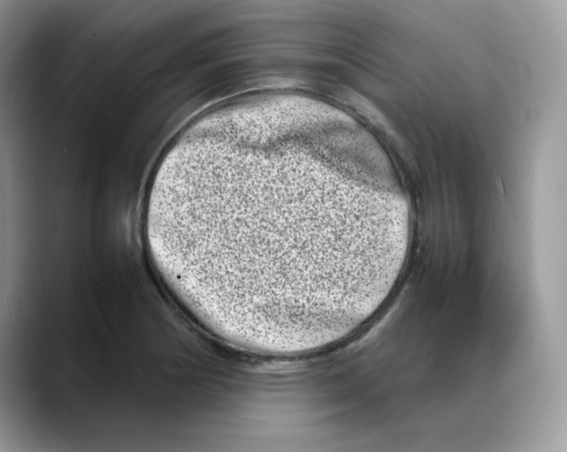 X0000088131178200706111402