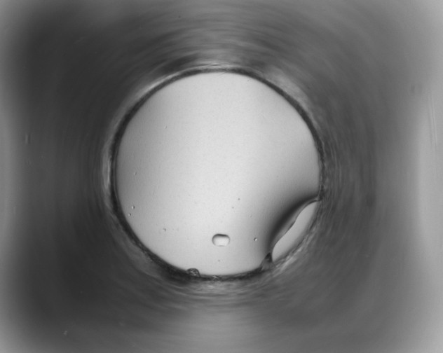 X0000088131179200706111402