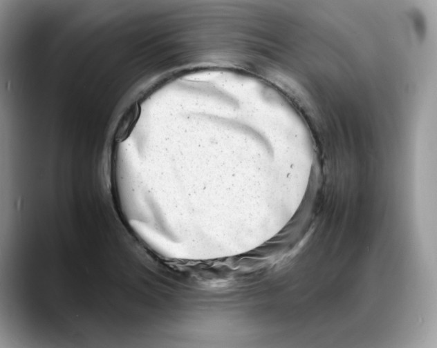 X0000088131180200706111402