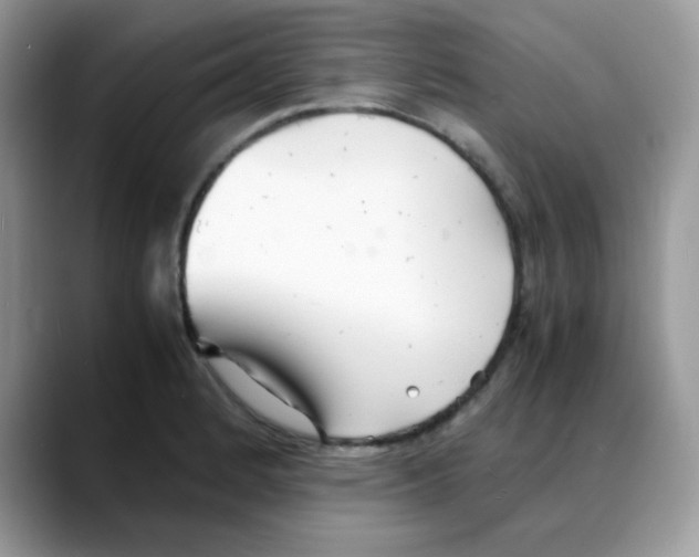 X0000088131184200706111402