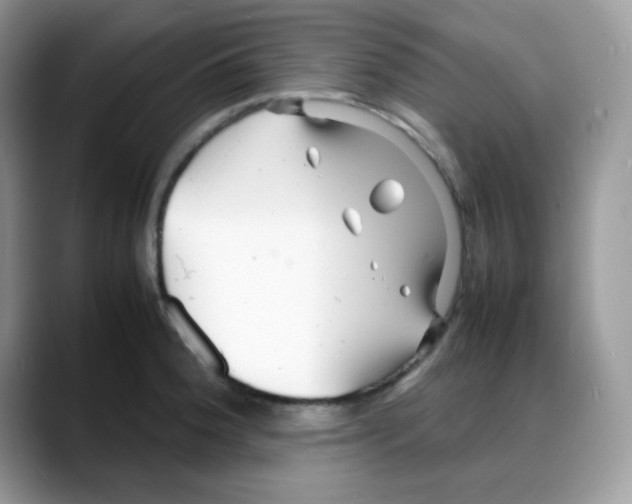 X0000088131188200706111402