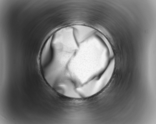 X0000088131190200706111402