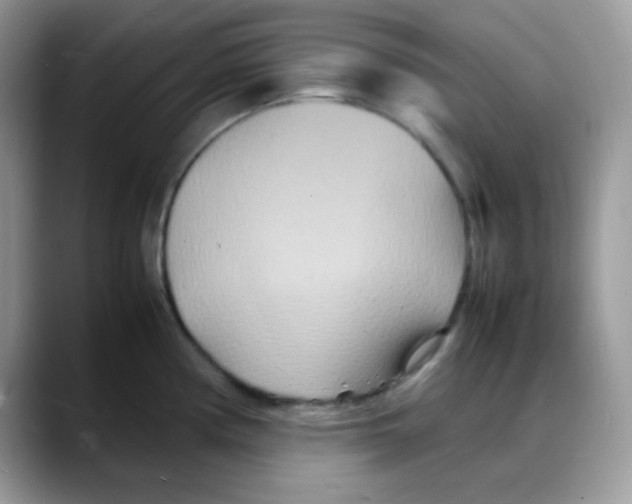 X0000088131194200706111402