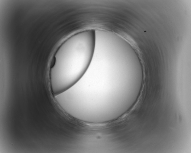 X0000088131200200706111402