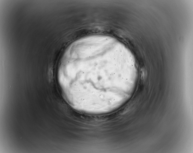 X0000088131203200706111401