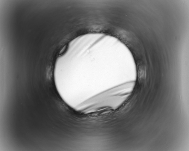 X0000088131204200706111401