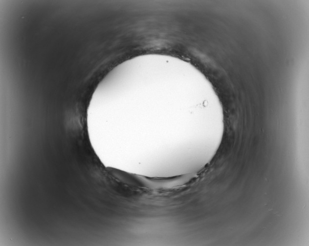 X0000088131206200706111401