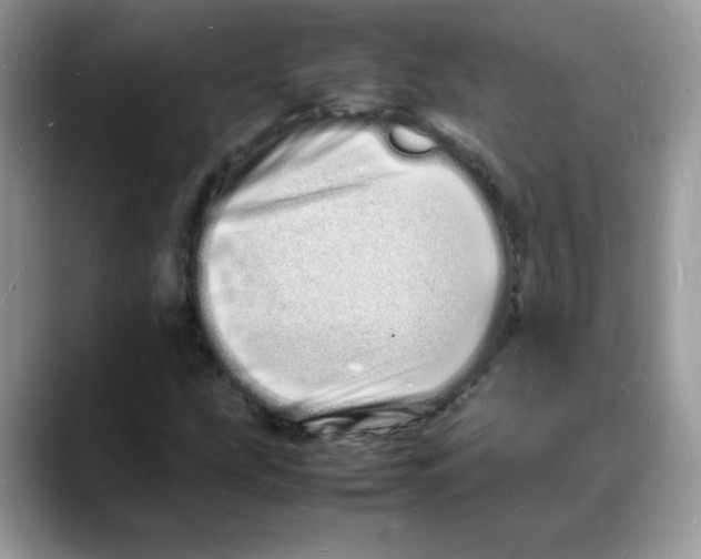 X0000088131207200706111401