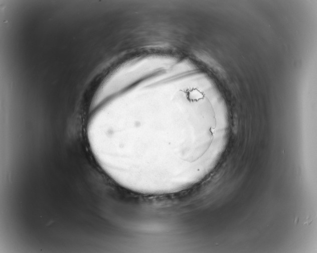 X0000088131208200706111401