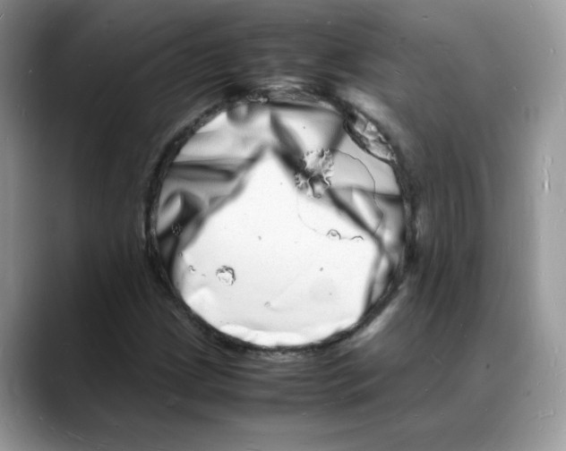 X0000088131209200706111401