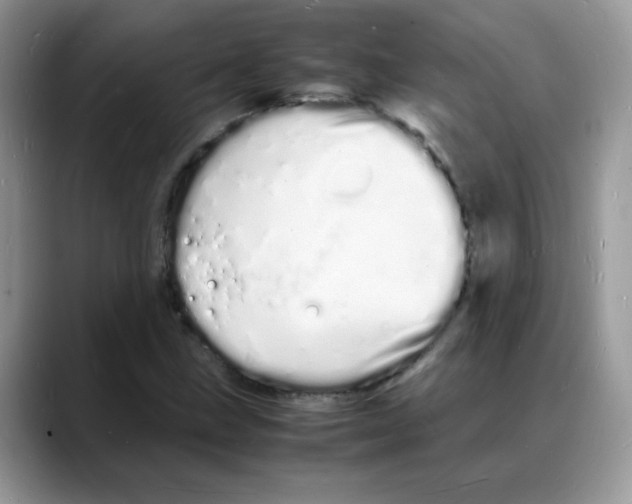 X0000088131211200706111401