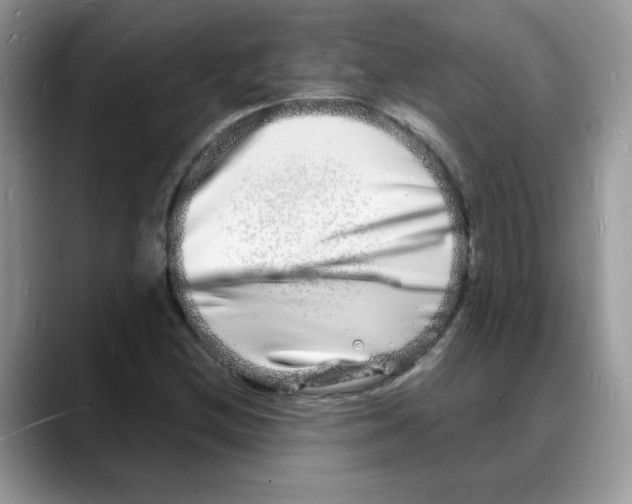 X0000088131212200706111401