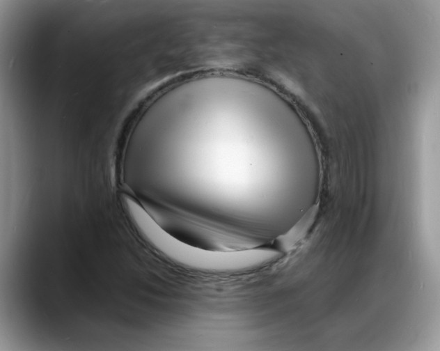 X0000088131214200706111401