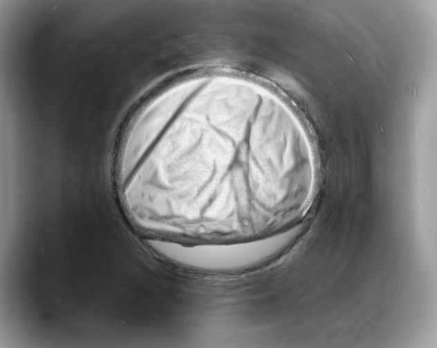 X0000088131216200706111401