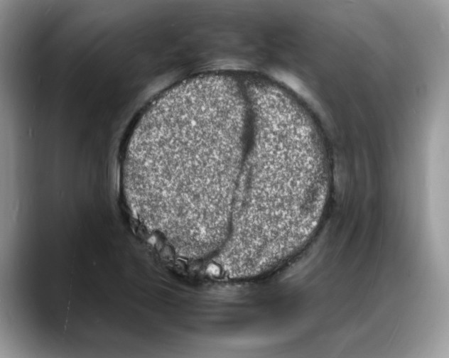 X0000088131221200706111401