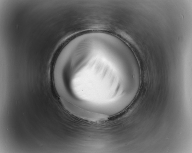 X0000088131222200706111401