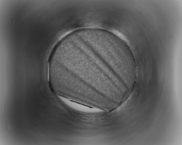 X0000088131223200706111401