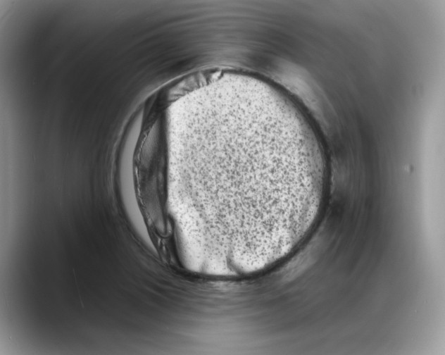 X0000088131226200706111401