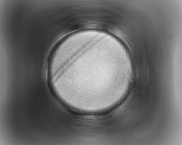 X0000088131227200706111401