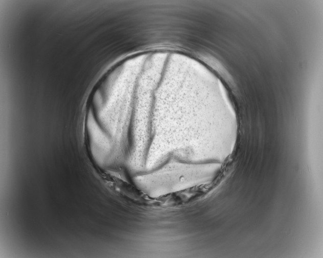 X0000088131228200706111401