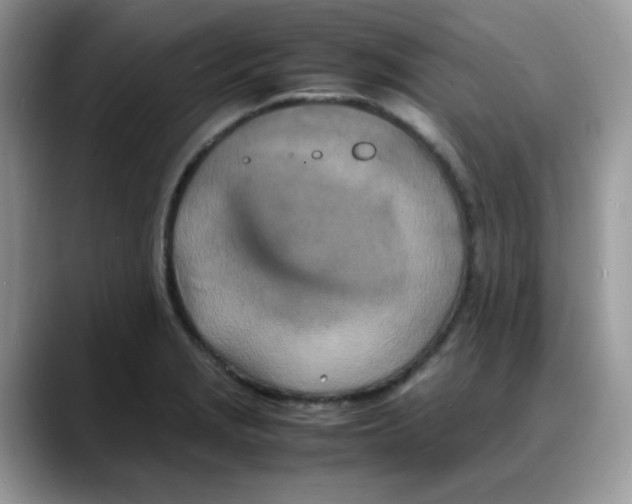 X0000088131229200706111401