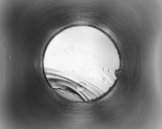 X0000088131232200706111401