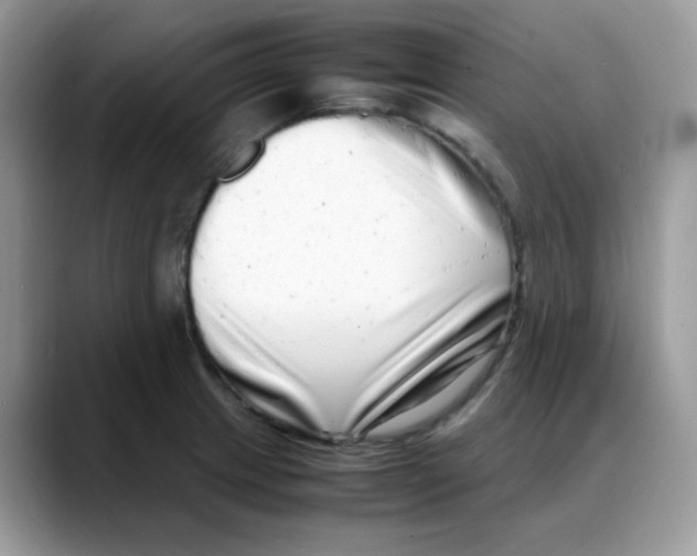 X0000088131233200706111401