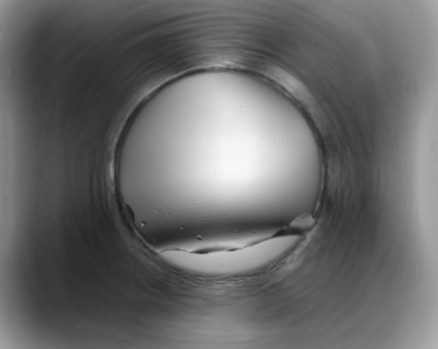 X0000088131234200706111401