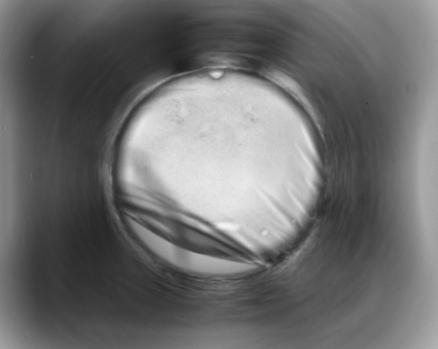 X0000088131235200706111401