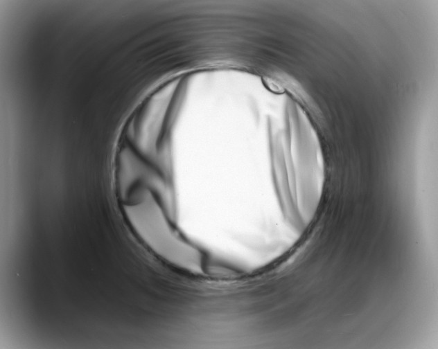 X0000088131236200706111401