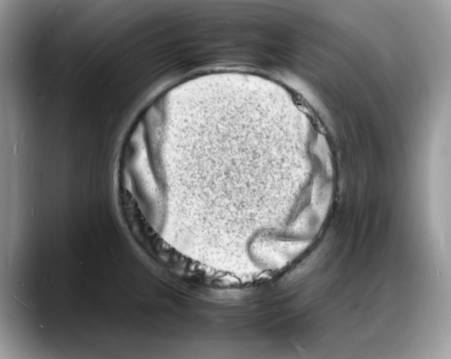 X0000088131237200706111401