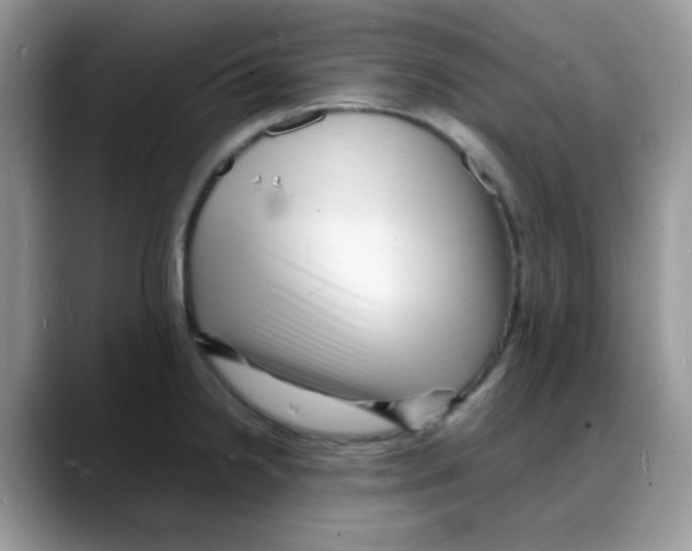 X0000088131238200706111401