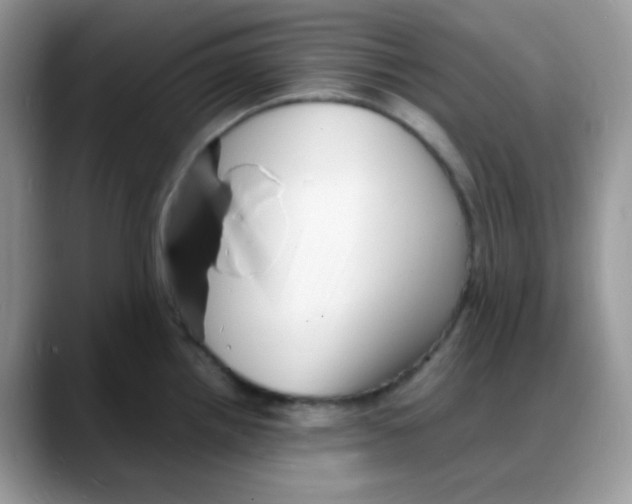 X0000088131242200706111401