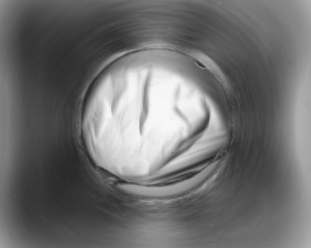 X0000088131244200706111401