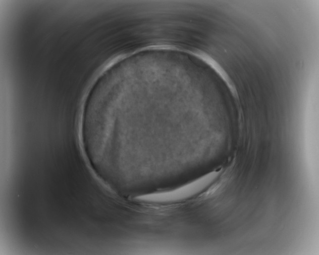 X0000088131245200706111401