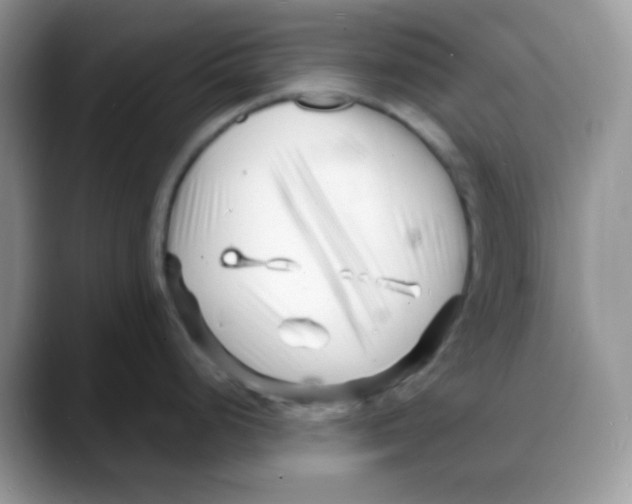 X0000088131248200706111402