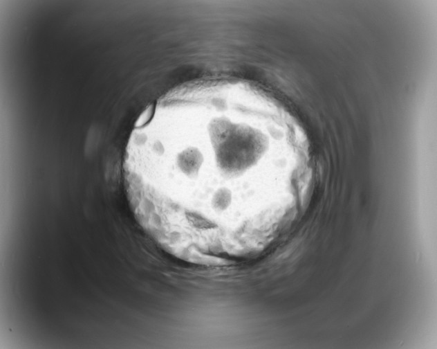 X0000088131251200706111401